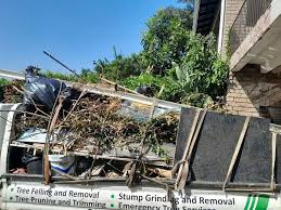 Best Moving and Downsizing Cleanouts  in Meadow Les, AK