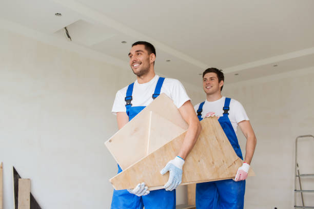 Best Demolition Debris Removal  in Meadow Les, AK