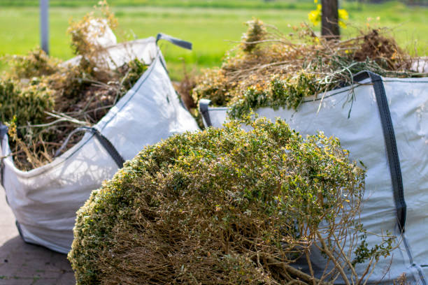 Best Mattress Disposal  in Meadow Les, AK